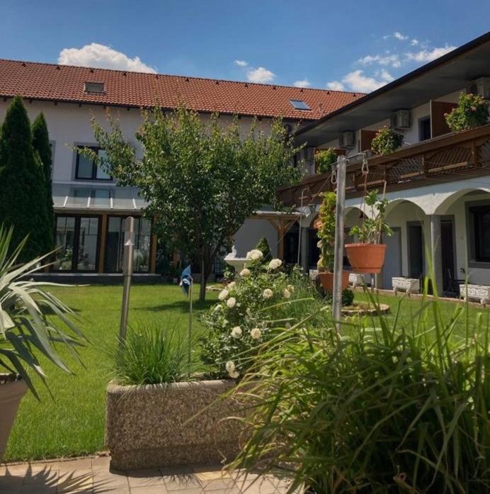 Gaestehaus Und Weinbau Zur Wiederkehr Strudler Podersdorf am See Eksteriør bilde