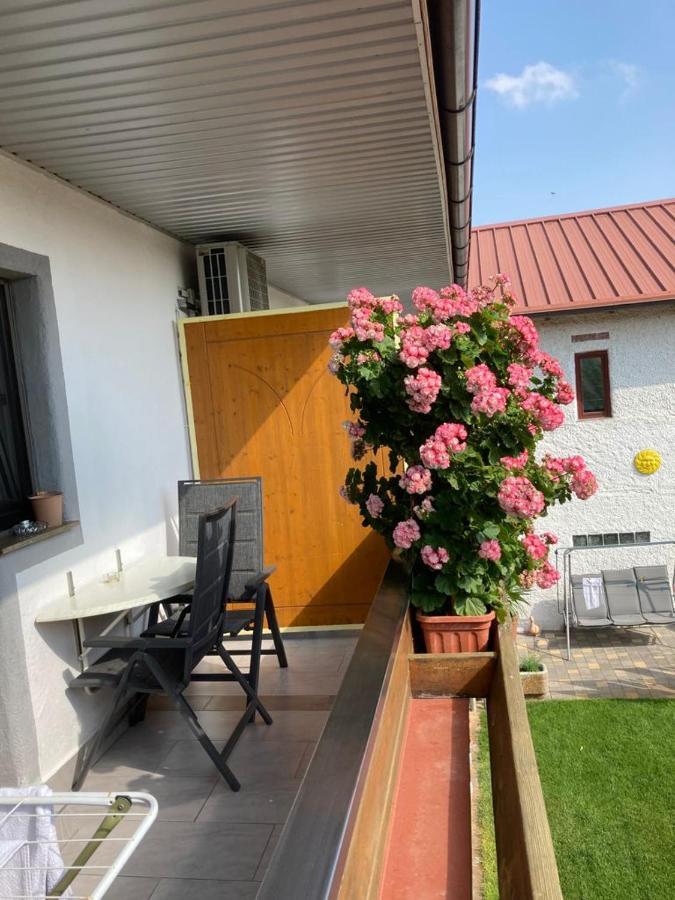 Gaestehaus Und Weinbau Zur Wiederkehr Strudler Podersdorf am See Eksteriør bilde
